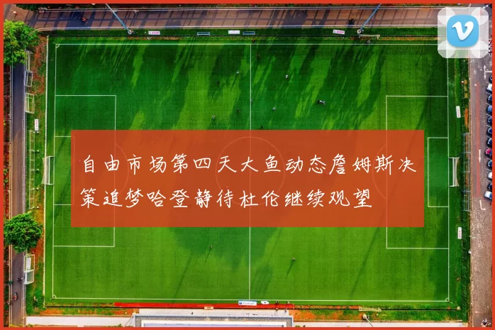 自由市场第四天大鱼动态詹姆斯决策追梦哈登静待杜伦继续观望