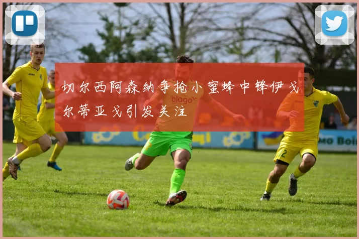 切尔西阿森纳争抢小蜜蜂中锋伊戈尔蒂亚戈引发关注